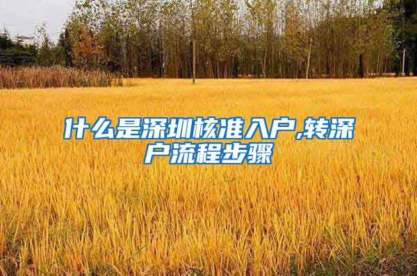 什么是深圳核准入户,转深户流程步骤