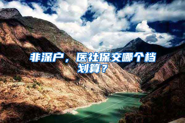 非深户，医社保交哪个档划算？
