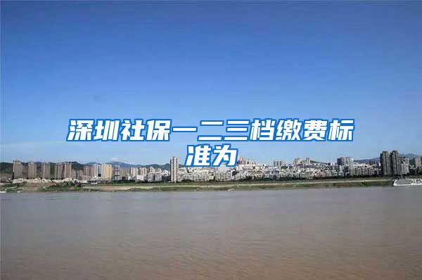 深圳社保一二三档缴费标准为
