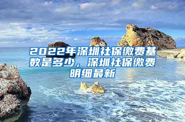 2022年深圳社保缴费基数是多少，深圳社保缴费明细最新