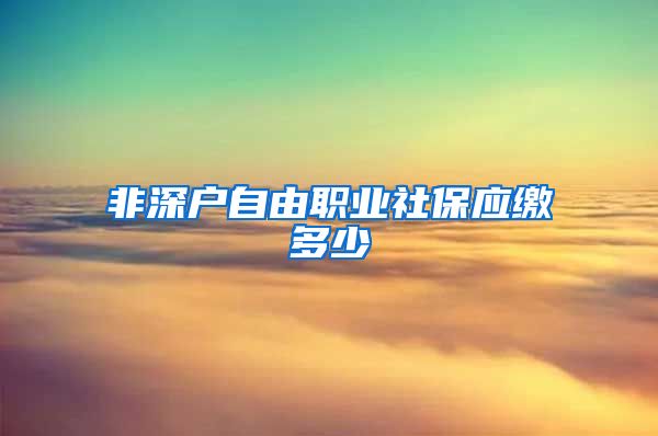 非深户自由职业社保应缴多少
