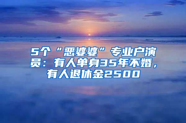 5个“恶婆婆”专业户演员：有人单身35年不婚，有人退休金2500