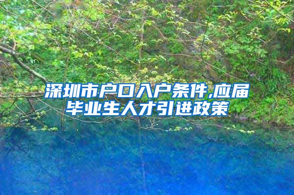 深圳市户口入户条件,应届毕业生人才引进政策
