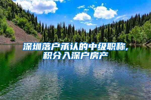 深圳落户承认的中级职称,积分入深户房产