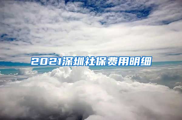 2021深圳社保费用明细