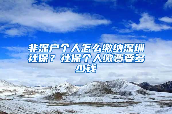 非深户个人怎么缴纳深圳社保？社保个人缴费要多少钱