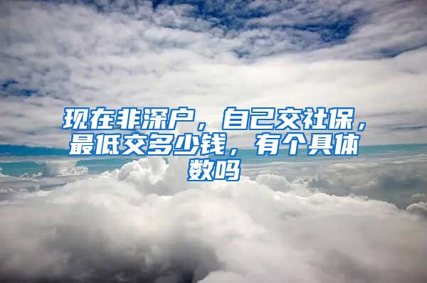 现在非深户，自己交社保，最低交多少钱，有个具体数吗
