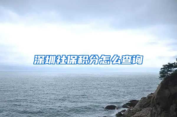 深圳社保积分怎么查询
