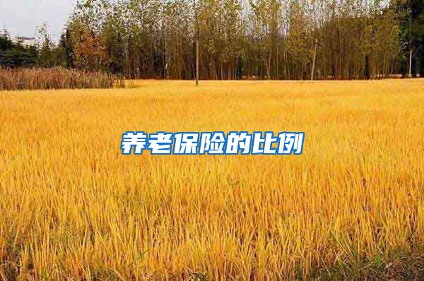 养老保险的比例