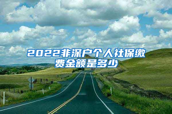 2022非深户个人社保缴费金额是多少