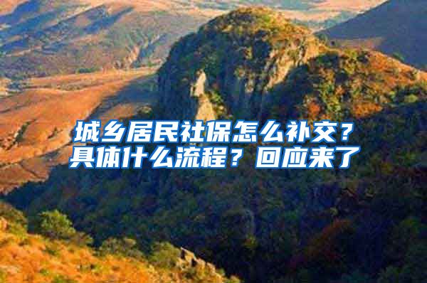 城乡居民社保怎么补交？具体什么流程？回应来了