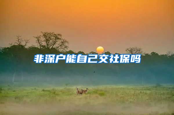 非深户能自己交社保吗