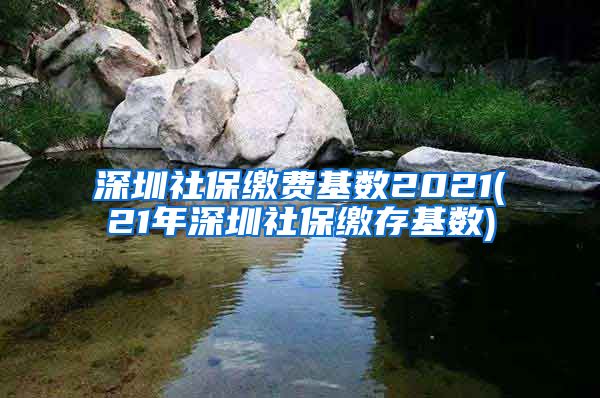 深圳社保缴费基数2021(21年深圳社保缴存基数)