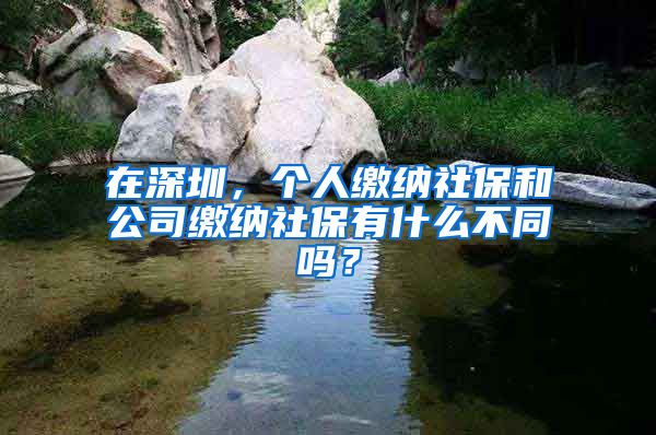 在深圳，个人缴纳社保和公司缴纳社保有什么不同吗？