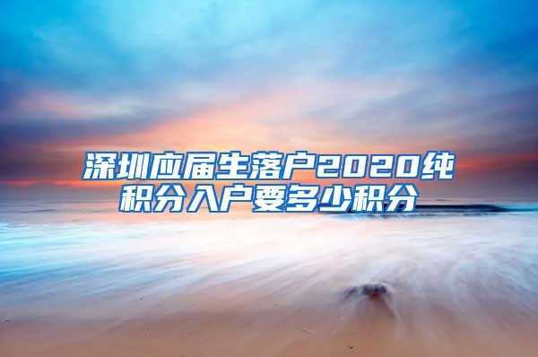 深圳应届生落户2020纯积分入户要多少积分