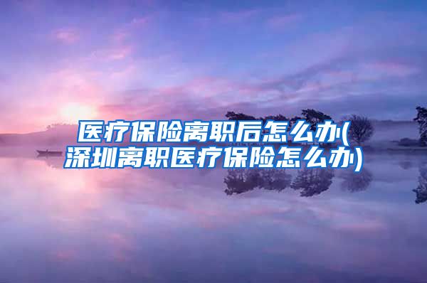 医疗保险离职后怎么办(深圳离职医疗保险怎么办)