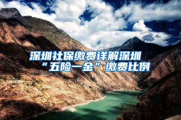 深圳社保缴费详解深圳“五险一金”缴费比例