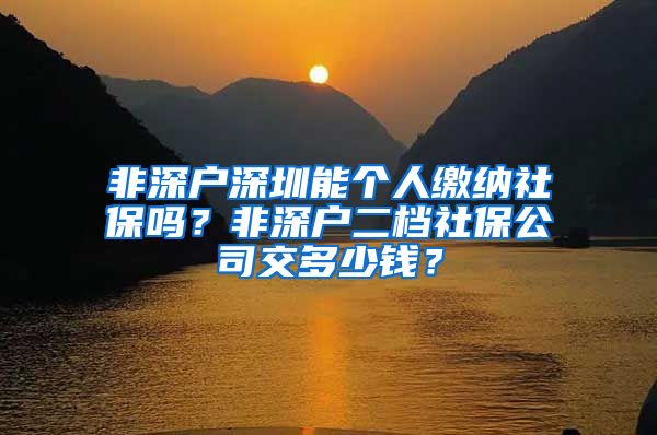 非深户深圳能个人缴纳社保吗？非深户二档社保公司交多少钱？