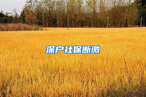 深户社保断缴