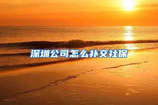 深圳公司怎么补交社保