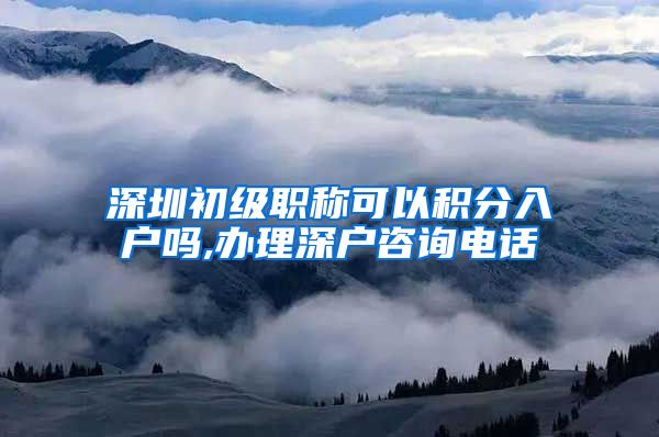 深圳初级职称可以积分入户吗,办理深户咨询电话