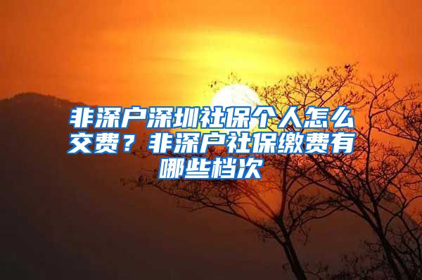 非深户深圳社保个人怎么交费？非深户社保缴费有哪些档次