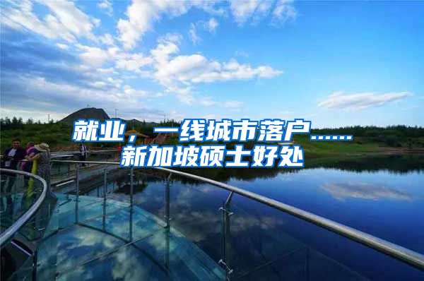就业，一线城市落户......新加坡硕士好处
