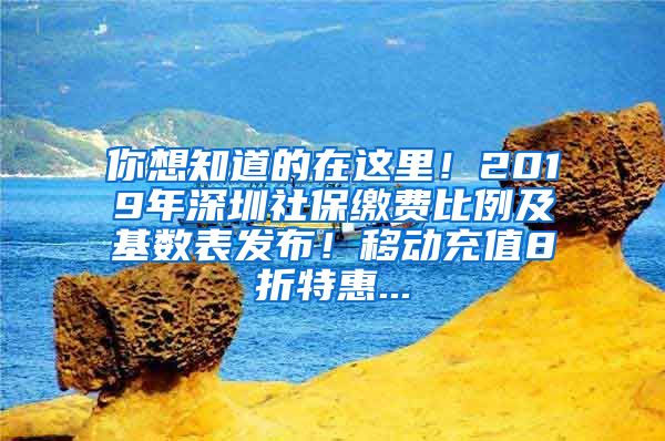 你想知道的在这里！2019年深圳社保缴费比例及基数表发布！移动充值8折特惠...
