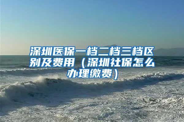 深圳医保一档二档三档区别及费用（深圳社保怎么办理缴费）