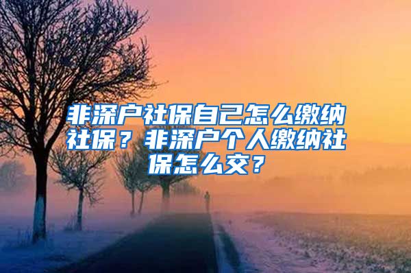 非深户社保自己怎么缴纳社保？非深户个人缴纳社保怎么交？