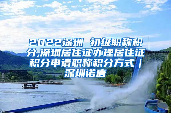 2022深圳 初级职称积分,深圳居住证办理居住证积分申请职称积分方式｜深圳诺唐