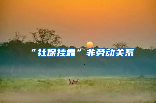 “社保挂靠”非劳动关系