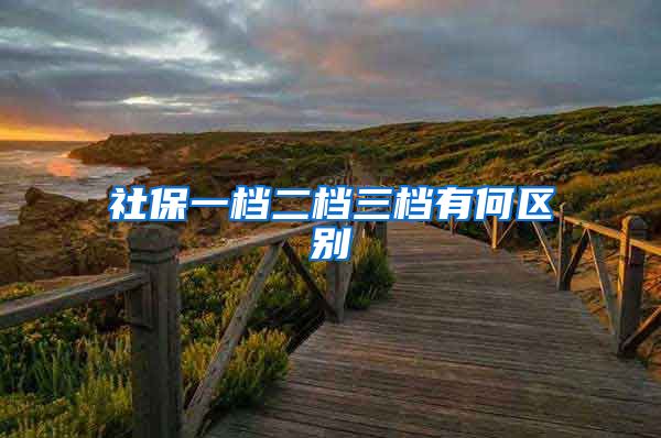 社保一档二档三档有何区别