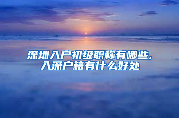 深圳入户初级职称有哪些,入深户籍有什么好处