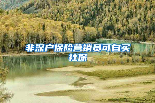 非深户保险营销员可自买社保