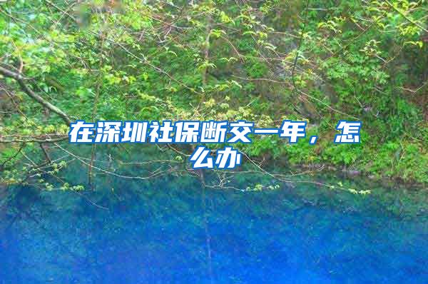 在深圳社保断交一年，怎么办