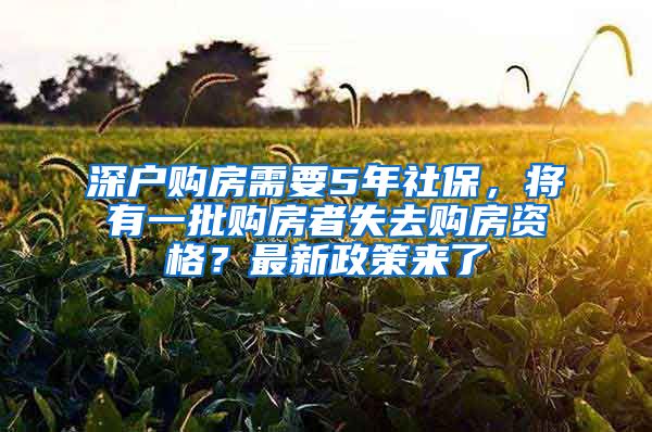深户购房需要5年社保，将有一批购房者失去购房资格？最新政策来了