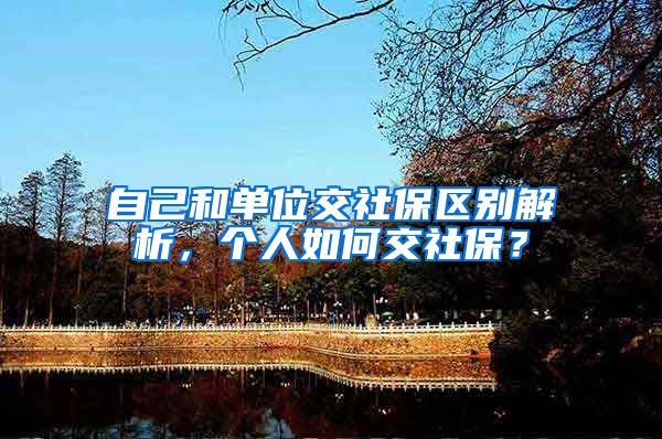 自己和单位交社保区别解析，个人如何交社保？