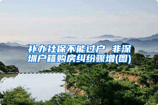 补办社保不能过户 非深圳户籍购房纠纷骤增(图)
