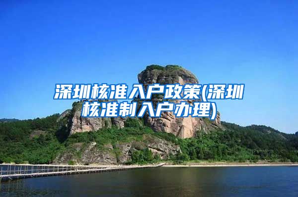 深圳核准入户政策(深圳核准制入户办理)