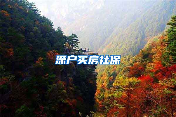 深户买房社保