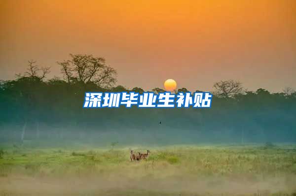 深圳毕业生补贴