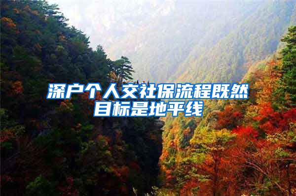 深户个人交社保流程既然目标是地平线
