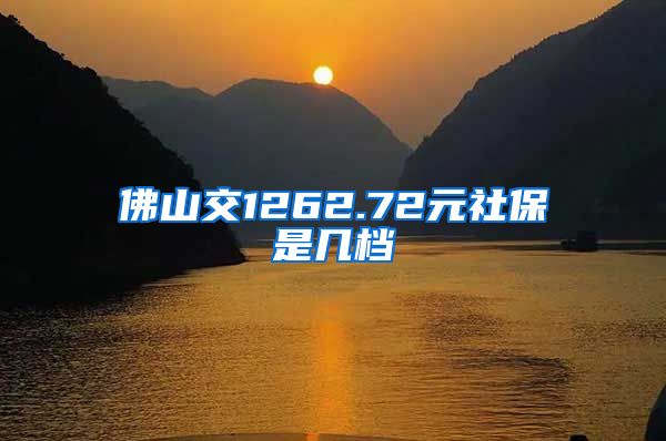佛山交1262.72元社保是几档