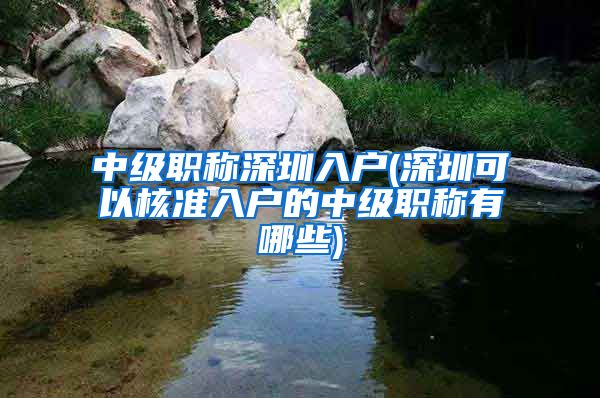 中级职称深圳入户(深圳可以核准入户的中级职称有哪些)