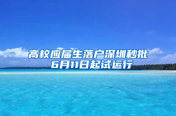 高校应届生落户深圳秒批 6月11日起试运行
