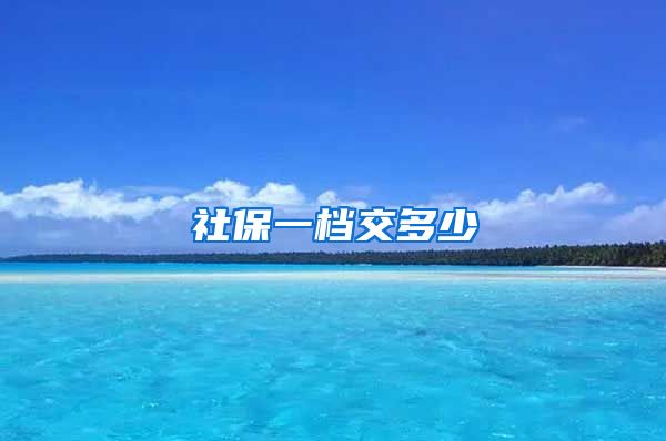 社保一档交多少