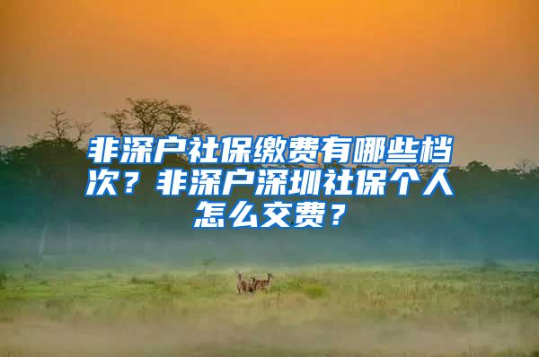 非深户社保缴费有哪些档次？非深户深圳社保个人怎么交费？