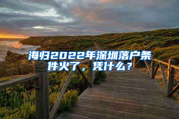海归2022年深圳落户条件火了，凭什么？
