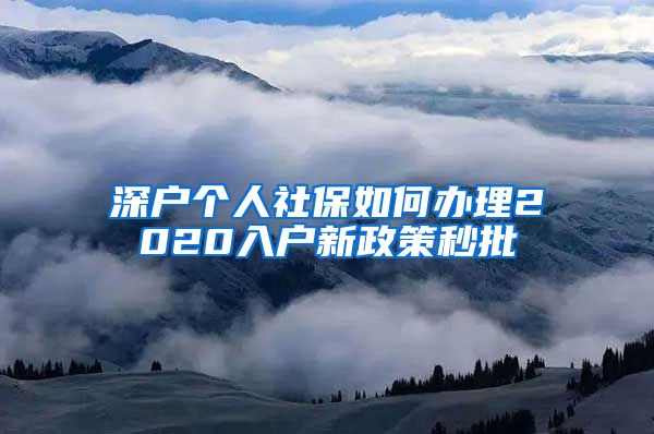 深户个人社保如何办理2020入户新政策秒批